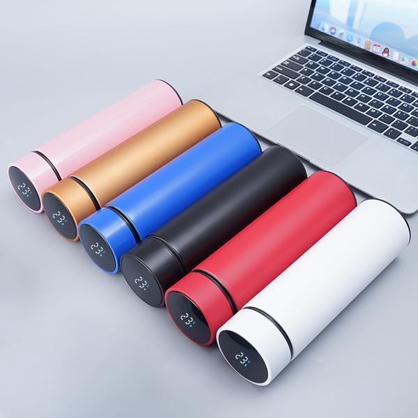 500 ml Insulated Temperature Water Bottle
