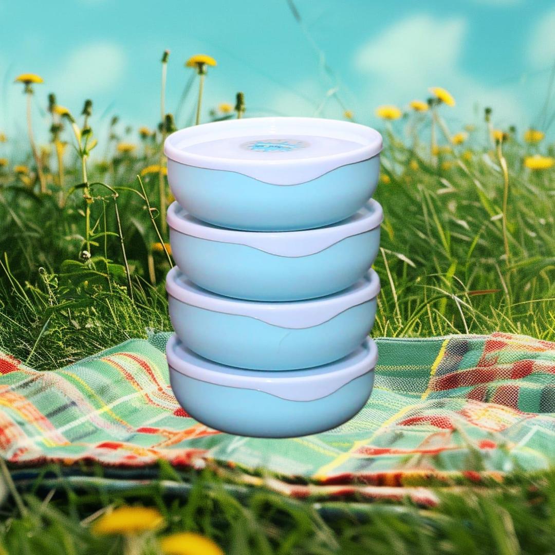 Food Storage Bowl Set- Pack of 4